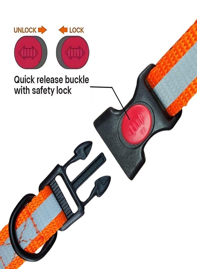 PET FUN طوق كلاب من النايلون فائق النعومة من بيت فن مع شريط عاكس للراديوم - قابل للتعديل، خفيف الوزن ومرن، مزود بإبزيم أمان سريع الفتح - طوق أساسي عالي الكثافة للجراء والسلالات الصغيرة (متوسط، 25 مم) - Image 5